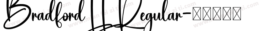 BradfordLL Regular字体转换